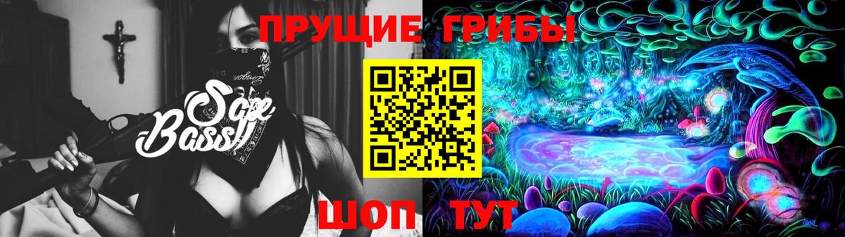 Галлюциногенные грибы Psilocybine cubensis Королёв